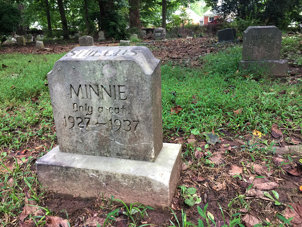 Minnie; Only a cat. 1927-1938. Aspin Hill Memorial Park.