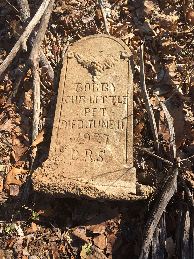 Bobby - Our Little Pet Died Jun 11, 1927 D.R.S. (March 2018)