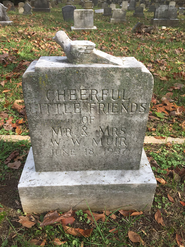 Cheerful Little Friends of Mr. & Mrs. W. W. Muir June 18, 1937. (November 2017)