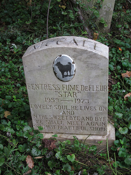 Lovely soul. He lives on and in the sweet bye and bye we shall meet again on that beautiful shore. (November 2013)