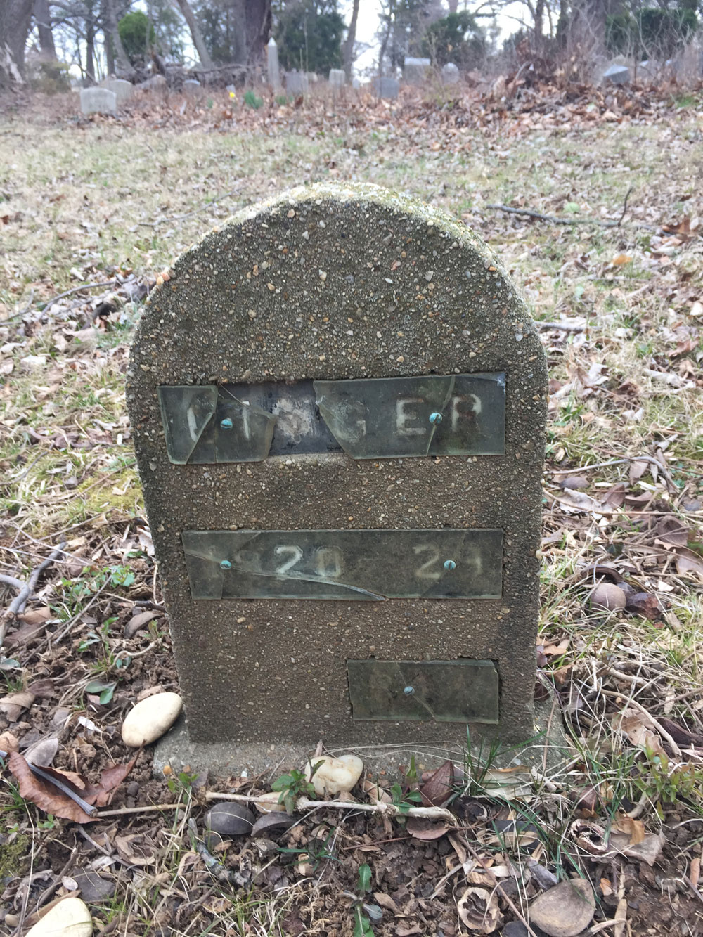 Ginger 1920-29. (March 2018)