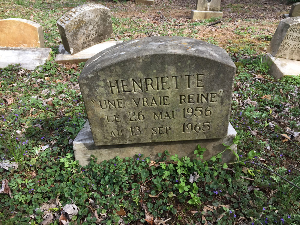 Henriette "Une Vraie Reine" Le 26 Mai 1956 au 13 Sep 1965. (April 2018)