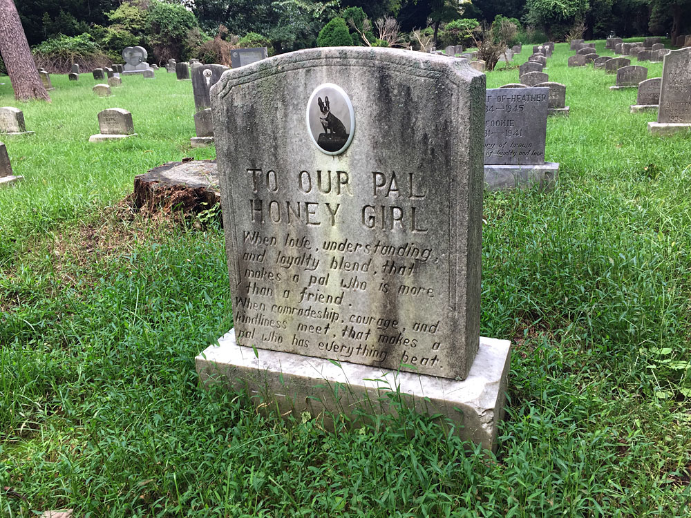 To Our Pal Honey Girl: When love, understanding, and loyalty blend, that makes a pal who is more than a friend. When comradeship, courage, and kindliness meet, that makes a pal who has everything beat. (September 2018)