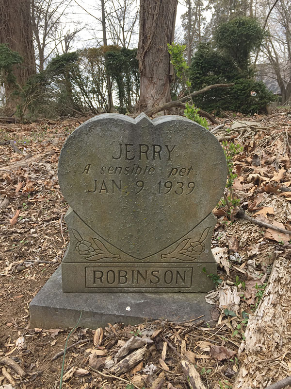Jerry A sensible pet Jan. 9 1939. [Robinson] (April 2018)