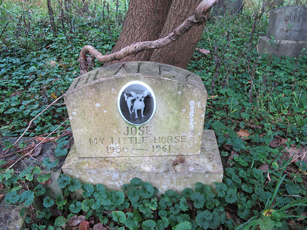 Jose My Little Horse 1958-1961. [Healey](November 2013)