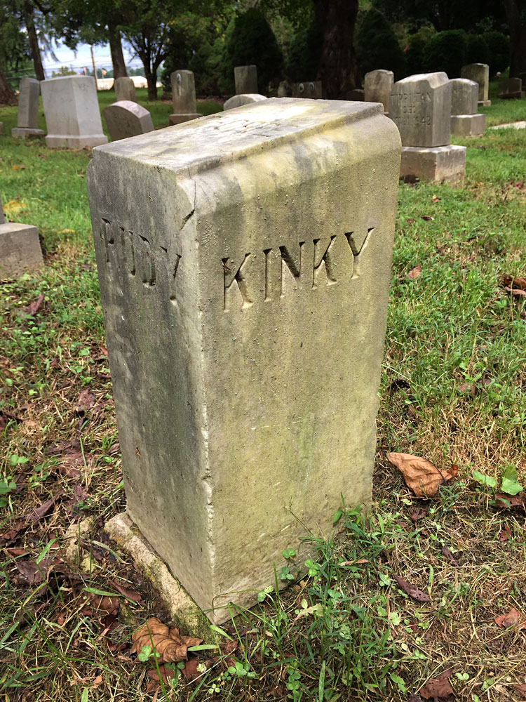 Kinky. (September 2018)