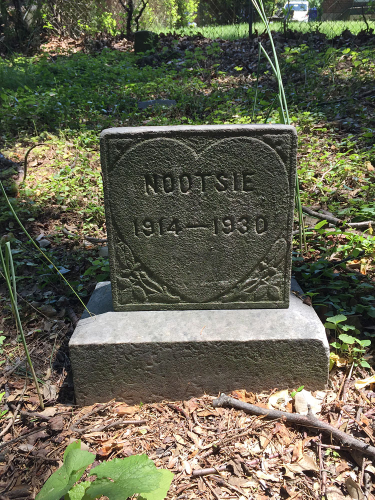 Nootsie 1914-1930. (May 2018)