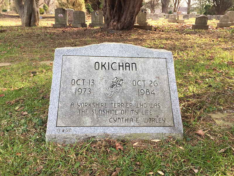 Okichan Oct 13 1973 - Oct 26 1984 - A Yorkshire terrier who was the sunshiine of my life. Cynthia E. Worley. (December 2018)