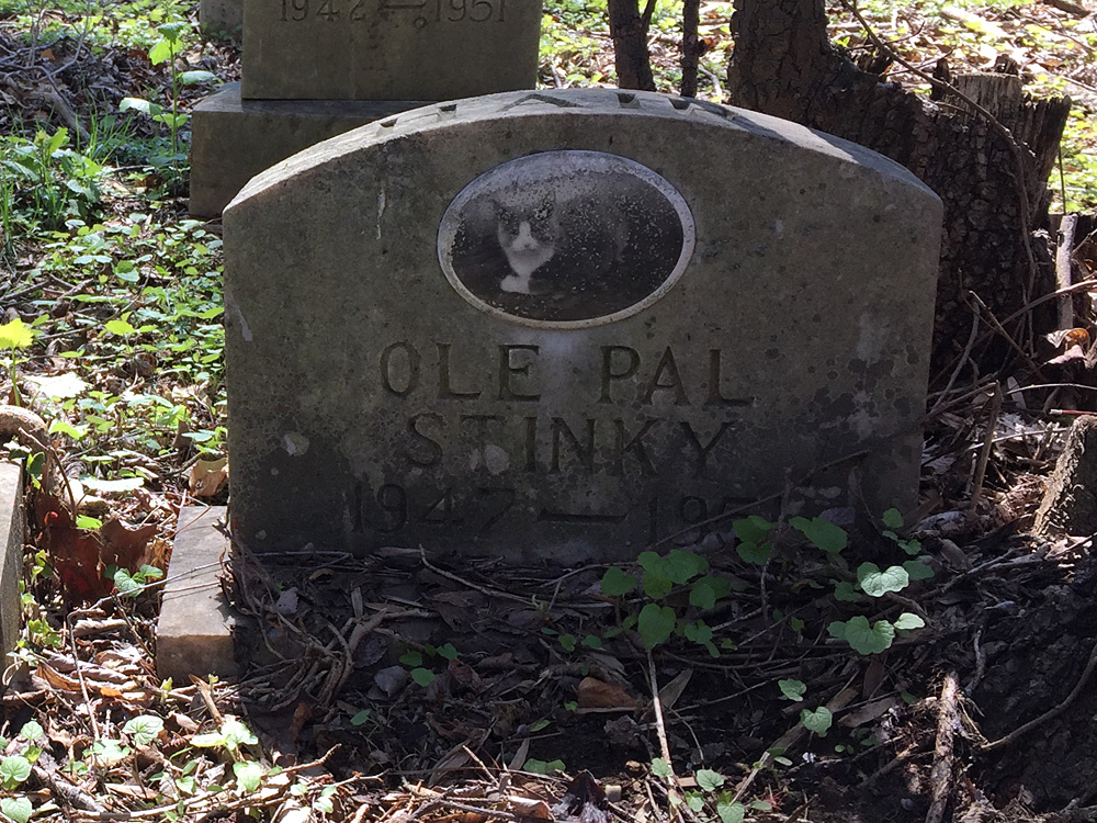 Ole Pall Stinky 1947-195? (April 2018)