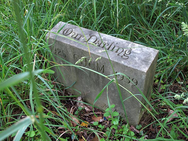 Our Darling - Chum 1925-1939 [McKay] (June 2012)