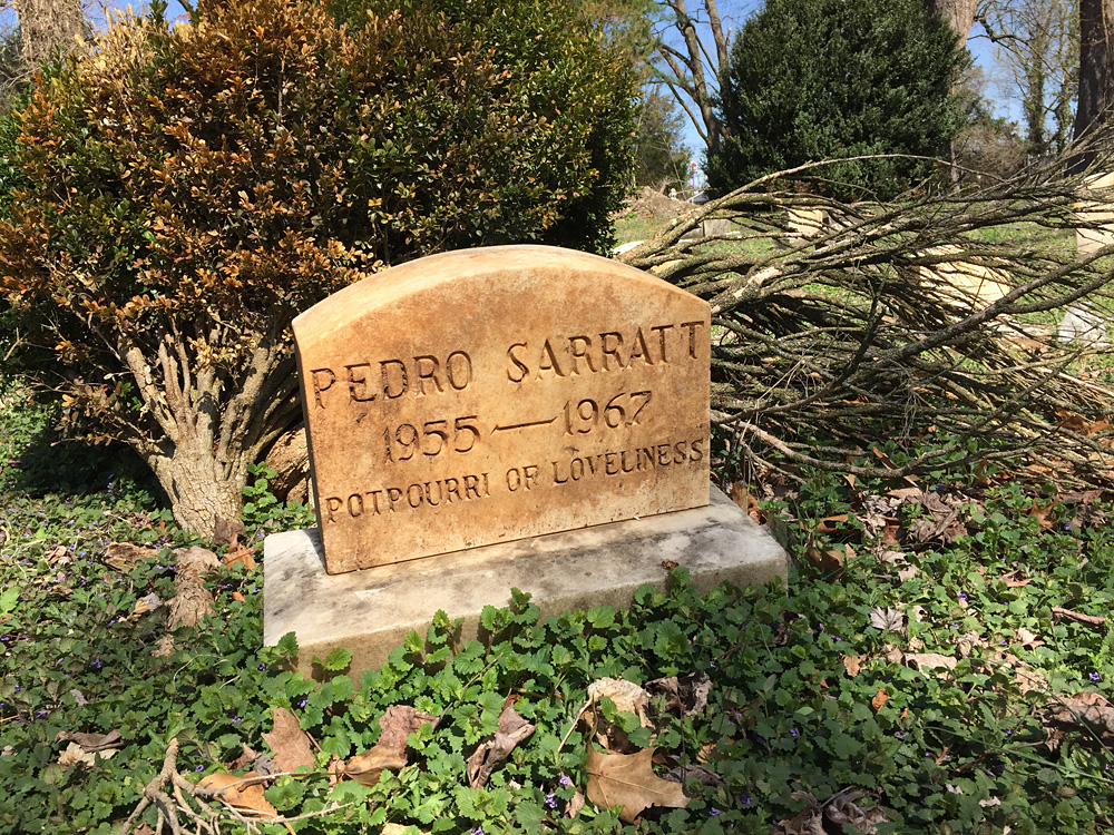 Pedro Sarratt 1955-1967 Potpourri of Loveliness. (April 2018)