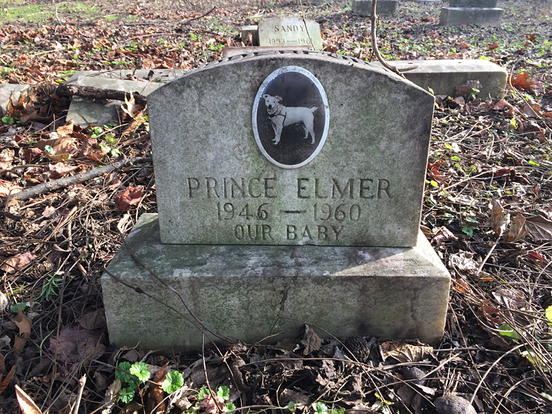 Prince Elmer 1946-1960 Our Baby. (December 2018)