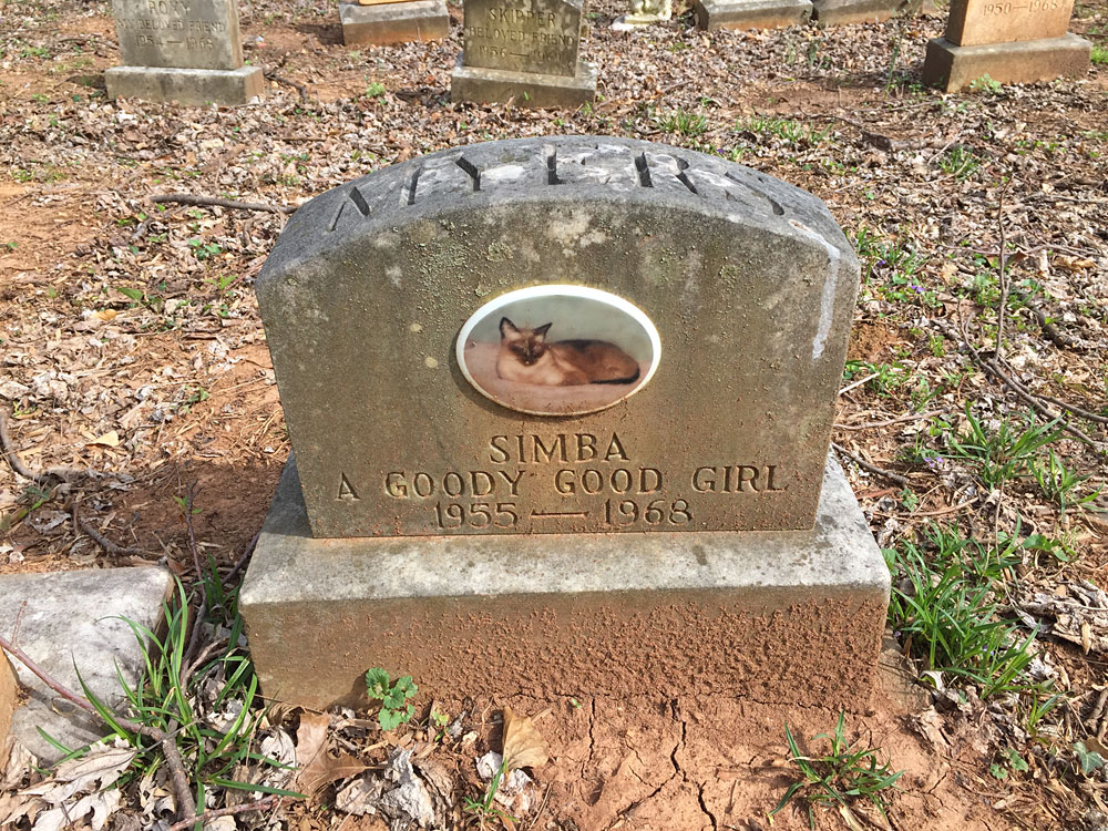 Simba - A Goody Good Girl 1955-1968. [Myers] (April 2018)