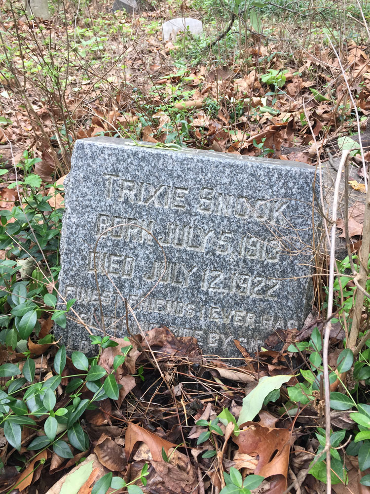 Trixie Snook Born July 5 1913 Died July 12, 1922. Finest Friends I Ever Had Sleeping Side by Side. (May 2018)