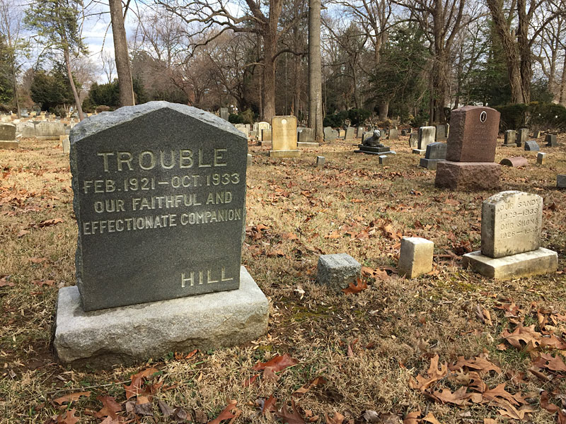 Trouble Feb. 1921-Oct. 1933 Our Faithful and Effectionate Companion. [Hill] (February 2018)Trouble Feb. 1921-Oct. 1933 Our Faithful and Effectionate Companion. [Hill] (February 2018)