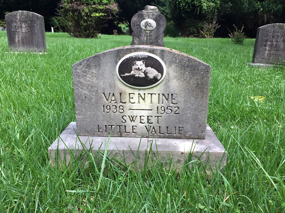 Valentine 1938-1952 Sweet Little Vallie. (September 2018)