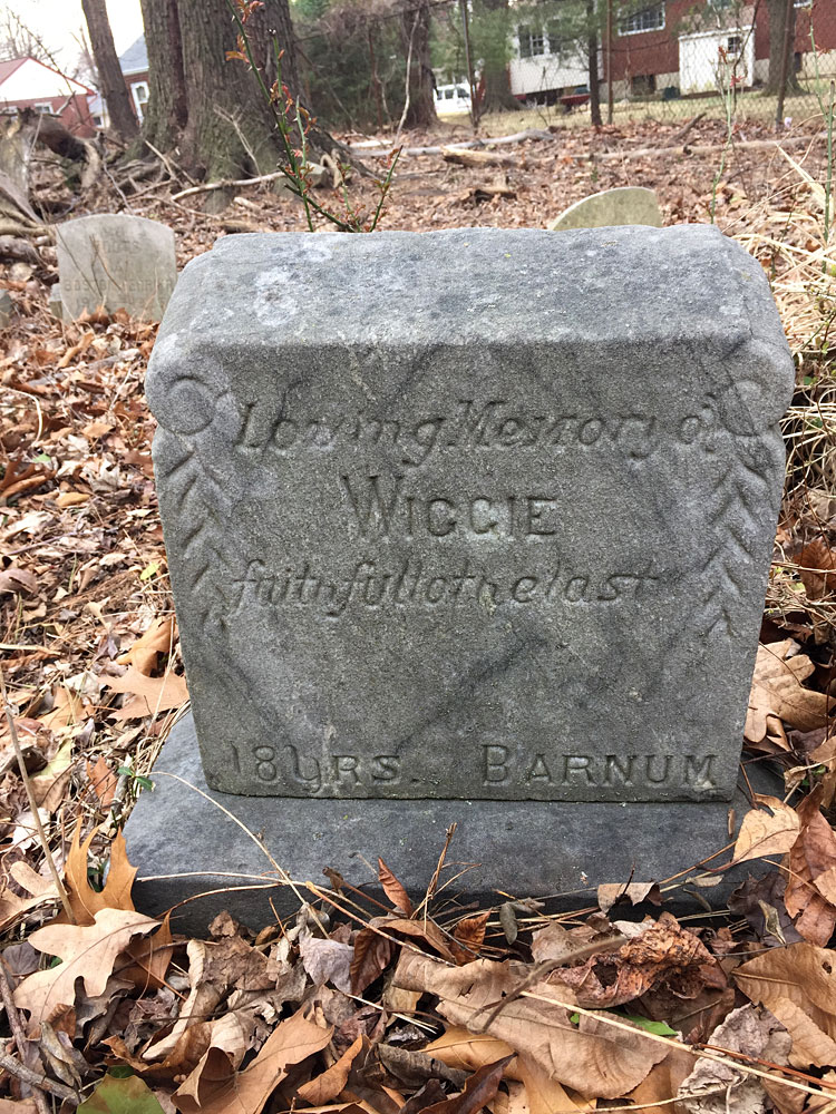 Loving Memory of Wiggie - faithful to the last. 18 Yrs. [Barnum] (March 2018)