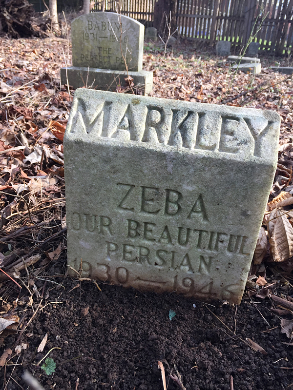 Zeba - Our Beautiful Persian. 1930-1946. [Markley] (December 2018)