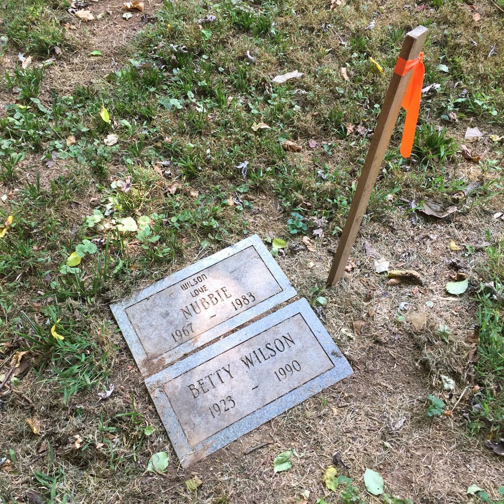 Wooden stake and orange flag indicating human burial site, September 2019.