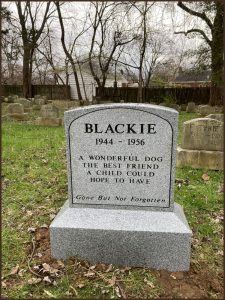 Blackie's grave stone at Aspin Hill Memorial Park. Photo by Mel Kornspan, March 2022